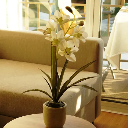 Soleado Y Luminoso A 3 Minutos De La Playa-carihuela Appartement